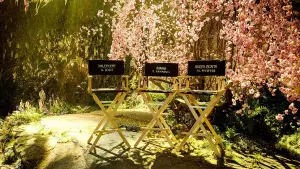 Задник до фильму"Чаклунка: Повелителька темряви" #224920