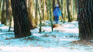 Задник до фильму"Зла не існує" #756346