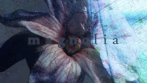 Задник до фильму"Магнолія" #670122