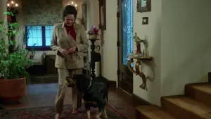 Задник до фильму"" #501111