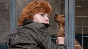 Задник до фильму"Буль і Білл" #501889