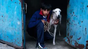 Задник до фильму"Ciudad sin sueño" #764954