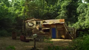 Задник до фильму"Королі літа" #245268