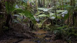 Задник до фильму"" #430483