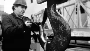 Відео до фільму Crane World | Crane World (2011) Movie Trailer - TIFF