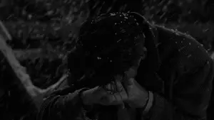 Задник до фильму"Це дивовижне життя" #615043