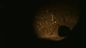 Задник до фильму"" #383351