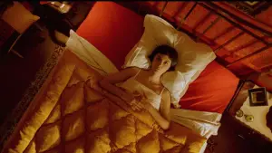 Задник до фильму"Амелі" #648919