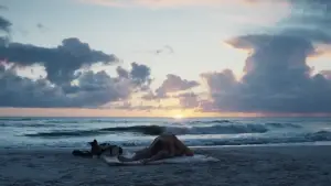 Задник до фильму"" #723320