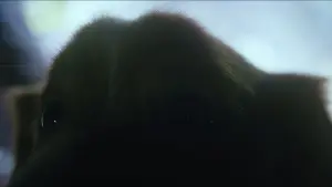 Задник до фильму"Хороший хлопчик" #517222