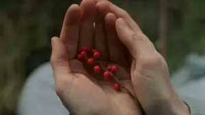 Задник до фильму"Таємничий ліс" #728851