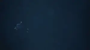 Задник до фильму"Я лаюсь" #516773