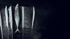 Задник до фильму"Хвилі змін: Неймовірна історія Рабу-де-Пейше" #693630