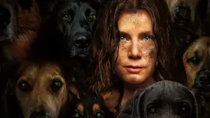 Задник до фильму"Нічна сучка" #643584