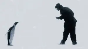 Задник до фильму"Bestiari, erbari, lapidari" #787086