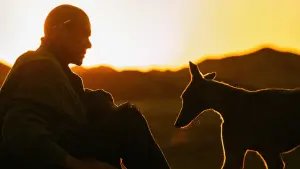 Задник до фильму"" #479610