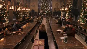 Задник до фильму"Гаррі Поттер і філософський камінь" #528320