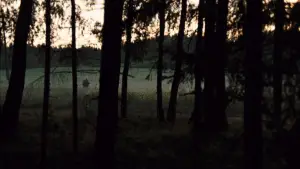 Задник до фильму"Дзеркало" #751477