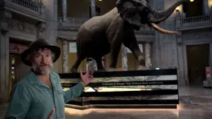Задник до фильму"Ghost Elephants" #911001