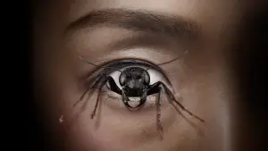 Задник до фильму"Одержимість контролем" #657820