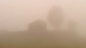 Задник до фильму"ხმელი ფოთოლი" #770897