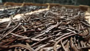 Задник до фильму"" #541705