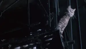 Задник до фильму"Серце Янгола" #741303