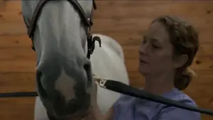 Задник до фильму"" #705979