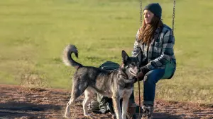 Задник до фильму"Незвідана земля" #335090