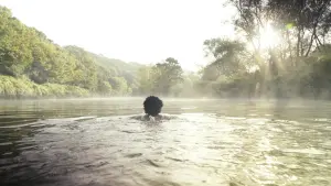 Задник до фильму"" #453377