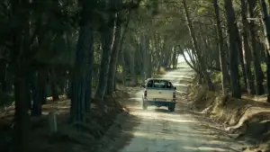 Задник до фильму"Το Μυστικό του Δάσους" #798260