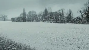 Задник до фильму"Назви мене своїм ім