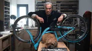 Задник до фильму"Ein fast perfekter Antrag" #769554