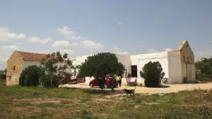 Задник до фильму"Manca Moro  مقرونة عربي" #801316