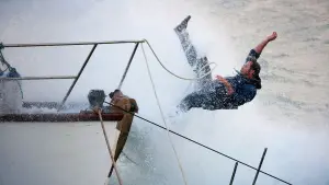 Задник до фильму"Заклинателька акул" #350648