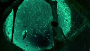 Задник до фильму"Життя Пі" #773177