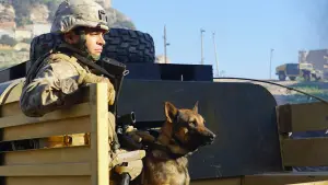 Задник до фильму"Меґан Ліві" #227984