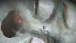 Задник до фильму"La jeune fille qui pleurait des perles" #780983