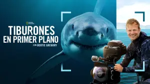 Задник до фильму"Sharks Up Close with Bertie Gregory" #793006