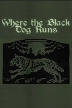 Постер до фильму"Where the Black Dog Runs" #821444