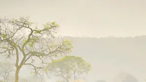 Задник до фильму"" #657707