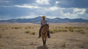 Задник до фильму"Відновлення" #527774