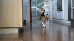 Задник до фильму"Джон Уік" #525981