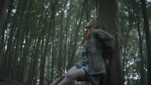 Задник до фильму"Незнайомці: Частина друга" #545451