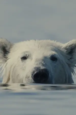 Постер до фильму"" #542670