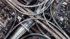 Задник до фильму"Нічні звірі" #506691