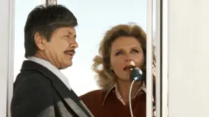 Задник до фильму"" #732130