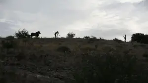 Задник до фильму"Нафта" #624075