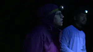 Задник до фильму"Nocturnes" #787092