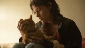 Задник до фильму"Любов, брехня та кровопролиття" #556691